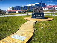 绍兴天华矿业集团