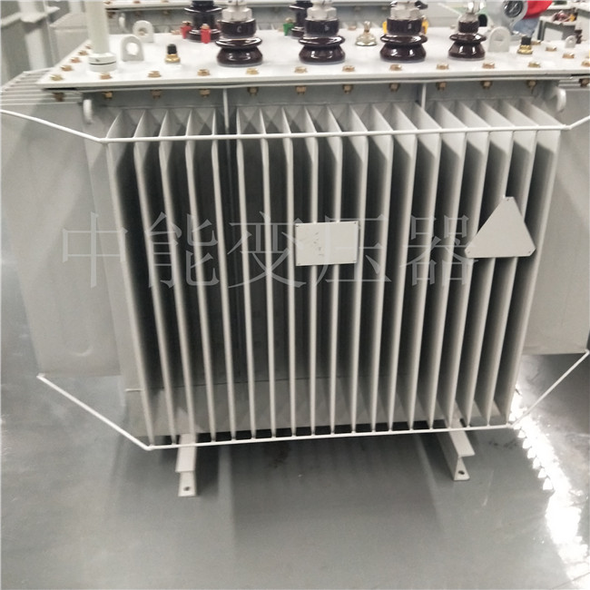 绍兴S20-800KVA变压器